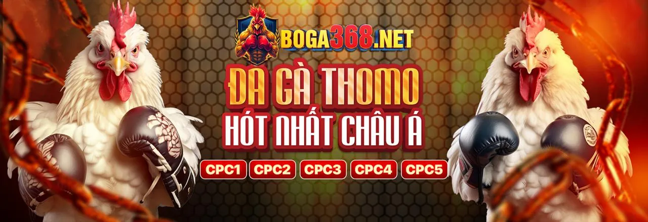 Giao diện đặt cược thể thao trên Sumclub, hiển thị tỷ lệ kèo và các lựa chọn